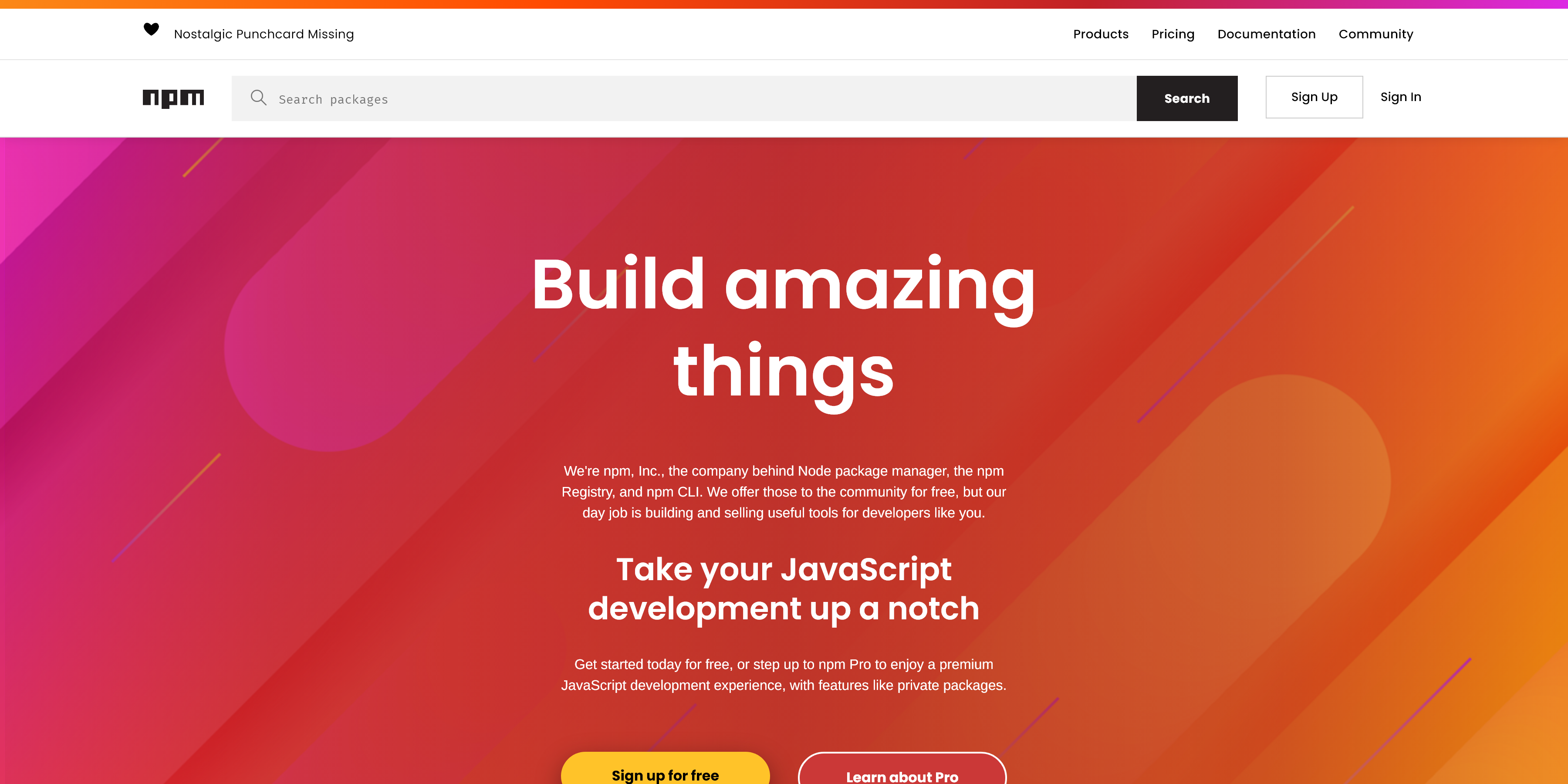 NPMjs Homepage capture